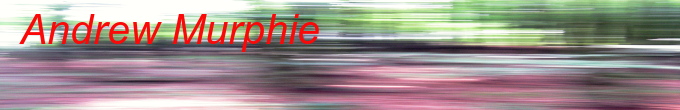 Andrew Murphie